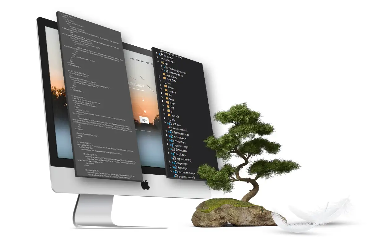 Web design and development | Silverlight Studios Web design and development | Silverlight Studios